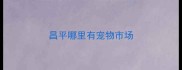 昌平哪里有宠物市场