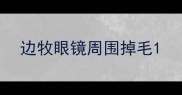 边牧眼镜周围掉毛