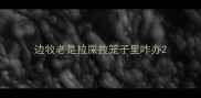 边牧老是拉屎拉笼子里咋办