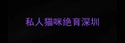 私人猫咪绝育深圳