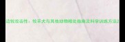 边牧攻击性牧羊犬与其他动物相处指南及科学训练方法