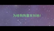 为啥狗狗喜欢刨地