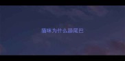 猫咪为什么舔尾巴