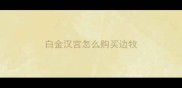 白金汉宫怎么购买边牧