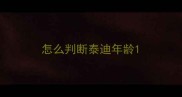 怎么判断泰迪年龄