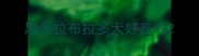 黑色拉布拉多犬好养吗