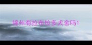 锦州有拉布拉多犬舍吗