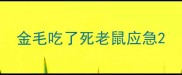 金毛吃了死老鼠应急
