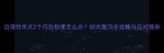 边境牧羊犬2个月拉软便怎么办幼犬腹泻全攻略与应对措施
