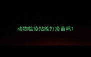 动物检疫站能打疫苗吗