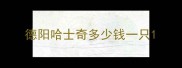 德阳哈士奇多少钱一只