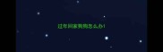 过年回家狗狗怎么办