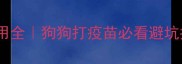 小红书爆款狂犬疫苗副作用全狗狗打疫苗必看避坑指南附疫苗反应处理手册