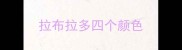 拉布拉多四个颜色