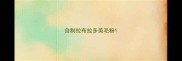 自制拉布拉多美毛粉
