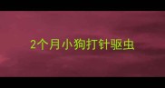 2个月小狗打针驱虫