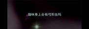 猫咪身上会有弓形虫吗
