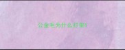 公金毛为什么打架