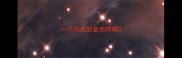 一个月大的金毛咋喂