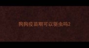狗狗疫苗期可以驱虫吗