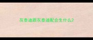 灰泰迪跟灰泰迪配会生什么