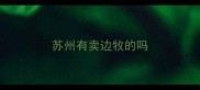 苏州有卖边牧的吗