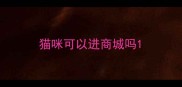 猫咪可以进商城吗