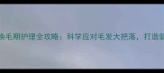边境牧羊犬换毛期护理全攻略科学应对毛发大把落打造健康顺滑被毛
