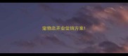 宠物店开业促销方案