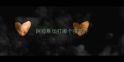 阿拉斯加打哪个疫苗好