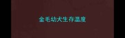 金毛幼犬生存温度