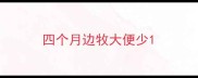 四个月边牧大便少