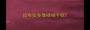 拉布拉多像哮喘干呕