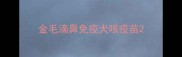 金毛滴鼻免疫犬咳疫苗