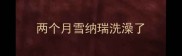 两个月雪纳瑞洗澡了