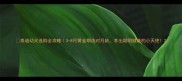 泰迪幼犬选购全攻略3-8月黄金期选对月龄养出聪明健康的小天使