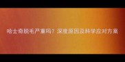 哈士奇脱毛严重吗深度原因及科学应对方案