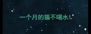 一个月的猫不喝水