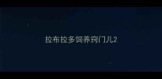 拉布拉多饲养窍门儿