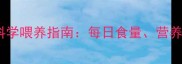 六个月泰迪幼犬科学喂养指南每日食量营养搭配与常见误区