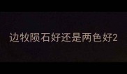 边牧陨石好还是两色好