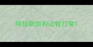 阿拉斯加和边牧打架