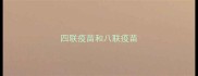 四联疫苗和八联疫苗