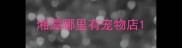 湘潭哪里有宠物店