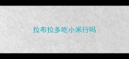 拉布拉多吃小米行吗