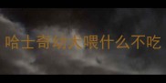 哈士奇幼犬喂什么不吃