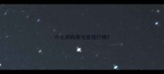 什么狗狗最可爱排行榜
