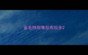 金毛特别像拉布拉多
