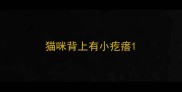 猫咪背上有小疙瘩