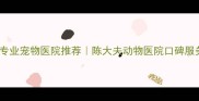 营口专业宠物医院推荐陈大夫动物医院口碑服务全